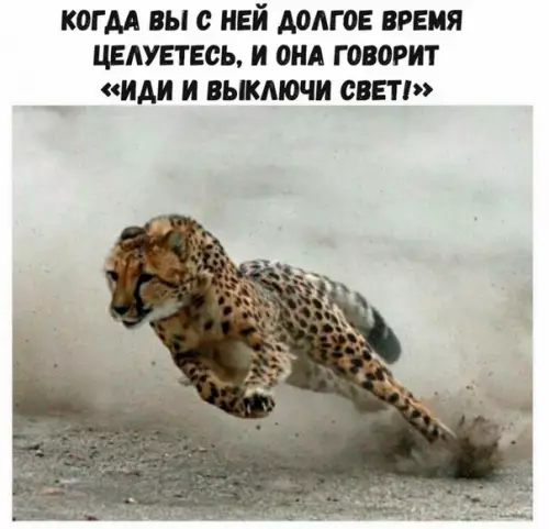 Смешная картинка №270782