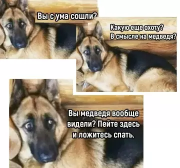 Смешная картинка №801527