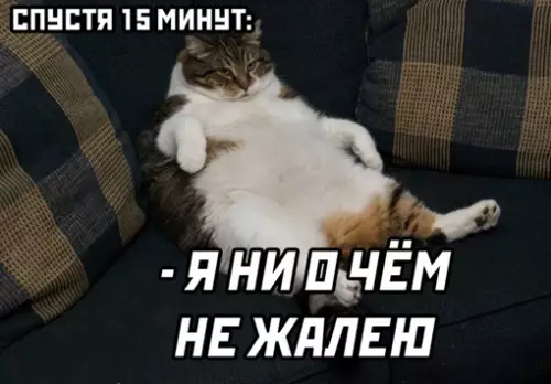 продолжение Смешная картинка №640142