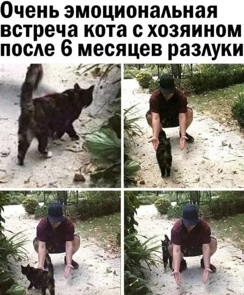 Смешная картинка №565001