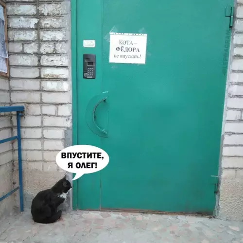 Смешная картинка №601680 Hy впycтитe