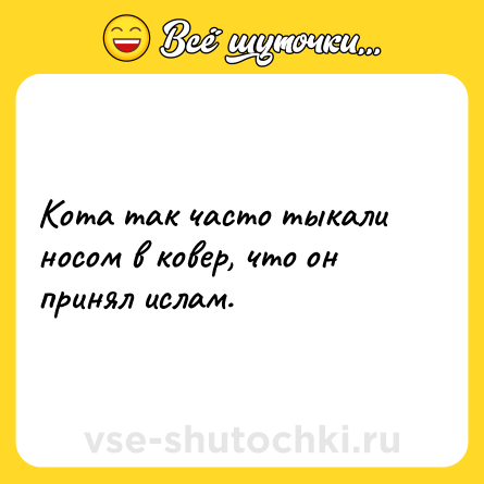 Шутка: Кота так часто тыкали носом в ковер, что он принял ислам.