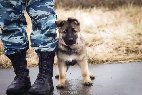 Смешная картинка №294682 Первый день на службе