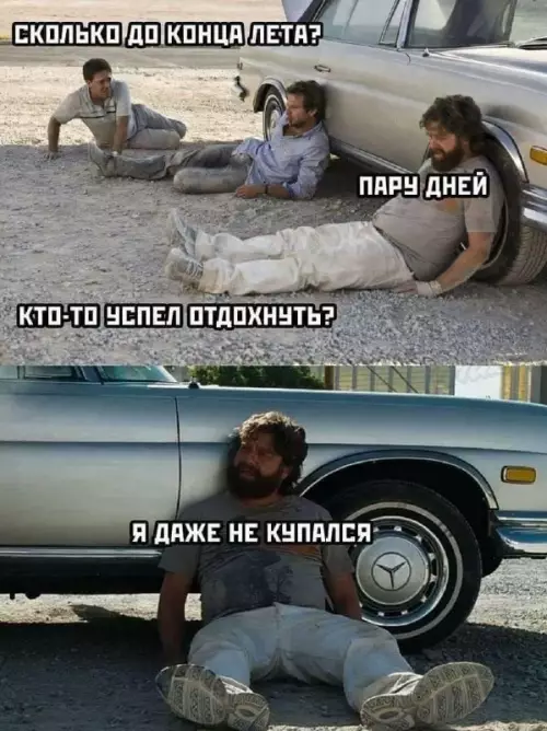 Смешная картинка №822607 Лето