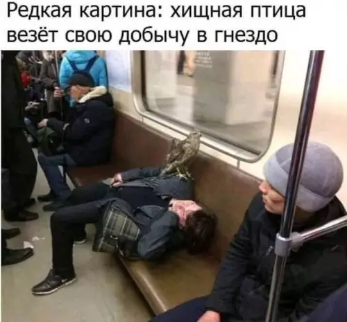 Смешная картинка №735284