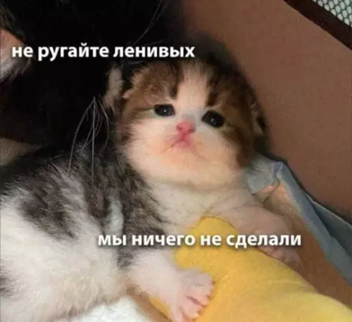 Смешная картинка №768549