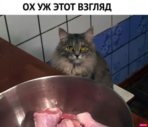 Смешная картинка №352531