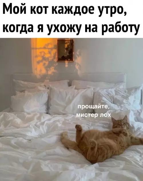 Смешная картинка №683642