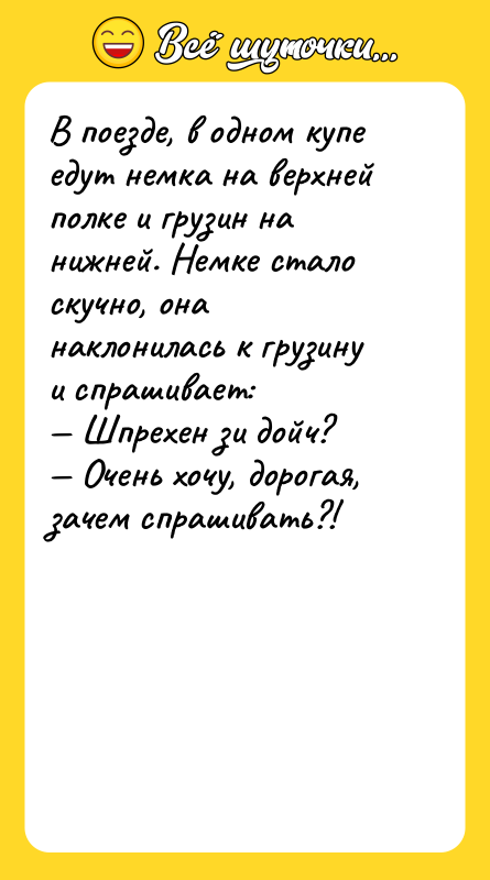 В поезде, в одном купе едут немка на верхней полке