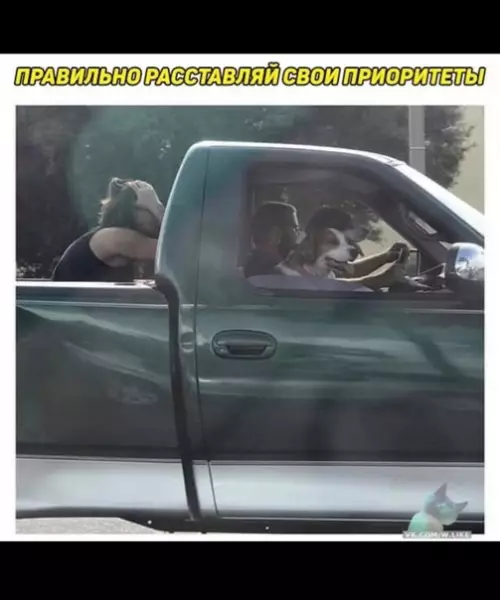 Смешная картинка №363853