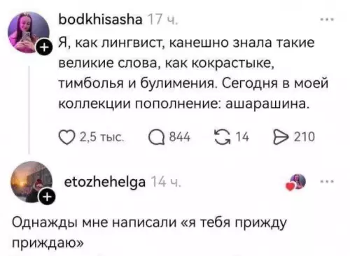 Юмор лингвистов: новые слова в коллекции - bodkhisasha: Я, как лингвист, конечно знаю такие великие слова, как
