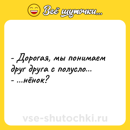 Шутка: - Дорогая, мы понимаем друг друга с полусло…<br>- …нёнок?