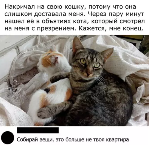 Смешная картинка №533861 Все пропало.