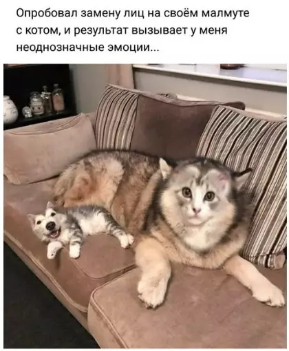 Смешная картинка №276254