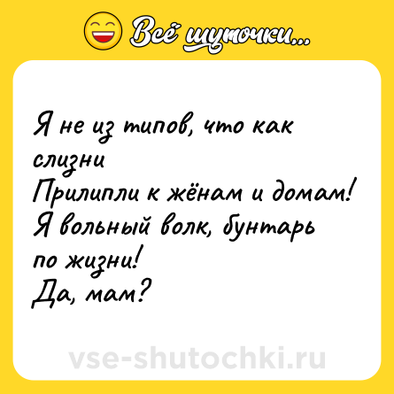 Шутка: Я не из типов, что как слизни<br>Прилипли к жёнам и домам!<br>Я вольный волк, бунтарь по жизни!<br>Да, мам?