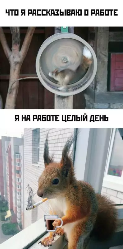Смешная картинка №674596