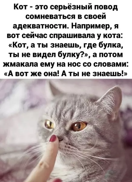 Смешная картинка №464625