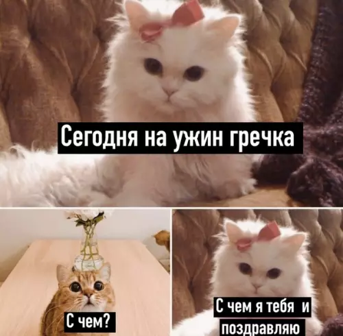 Смешная картинка №499782