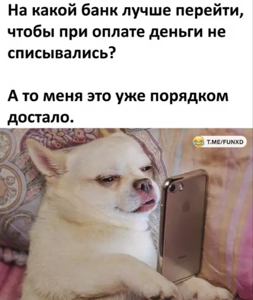 Смешная картинка №754249