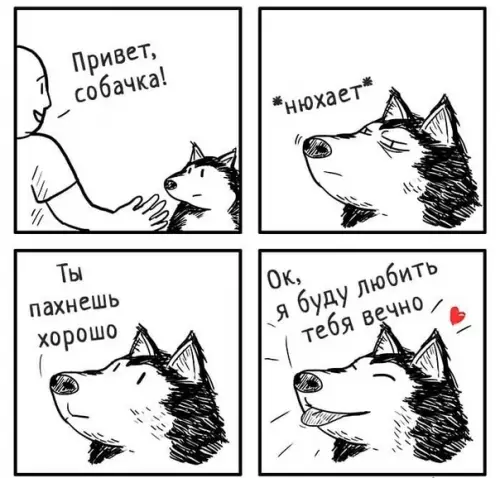 Смешная картинка №573338 Хороший мальчик:3