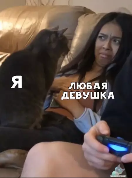 Смешная картинка №442214