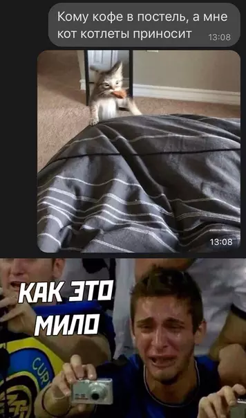 Смешная картинка №530484
