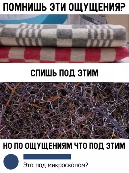 Смешная картинка №340334 Не все поймут