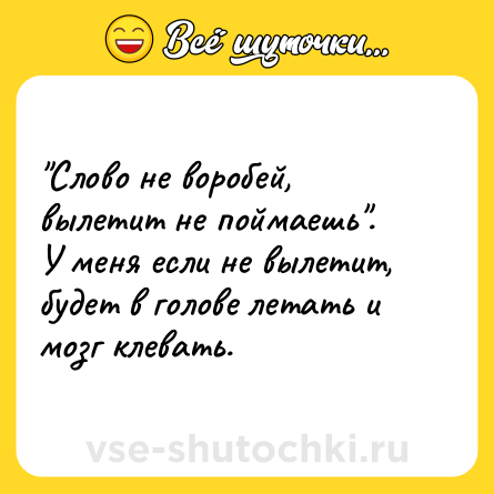 Шутка: 