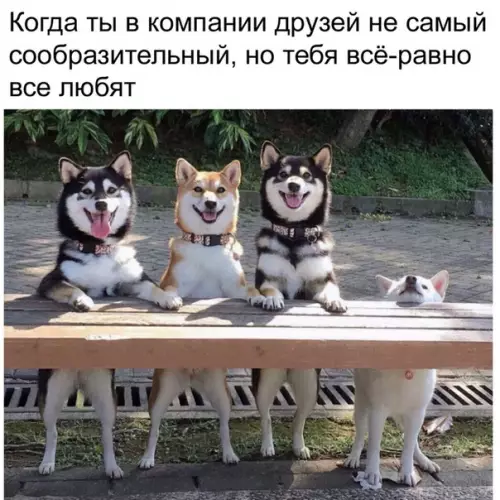 Смешная картинка №495178 ??????