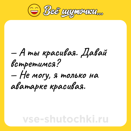 Шутка: — А ты красивая. Давай встретимся?<br>— Не могу, я только на аватарке красивая.