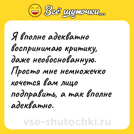 Шутка: Я вполне адекватно воспринимаю критику, даже необоснованную. Просто мне немножечко хочется вам лицо подправить, а так вполне адекватно.