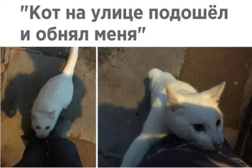 Смешная картинка №432846