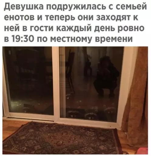 Смешная картинка №224227