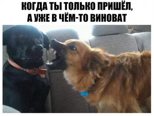 Смешная картинка №254282