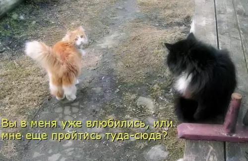 Смешная картинка №713583