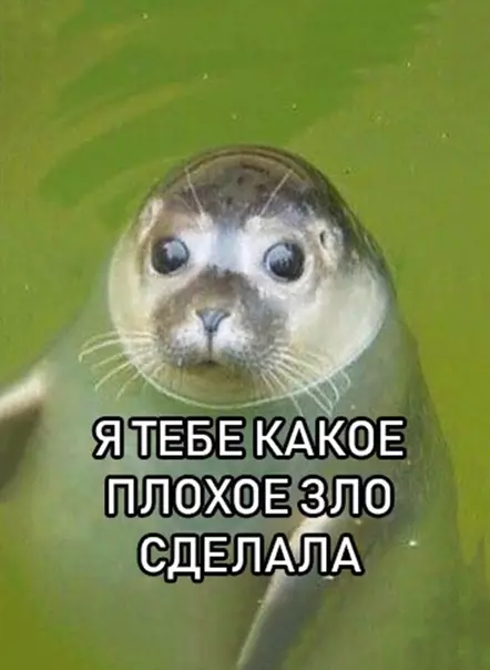 Смешная картинка №442678 Koгдa oнa два часа выносила тебе мозги, и ты oт злоcти прикpикнул на нeё.