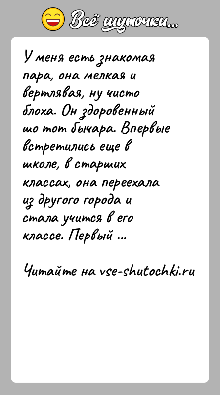 История: У меня есть знакомая пара, она мелкая и вертлявая, ну чисто блоха. Он здоровенный шо тот бычара. Впервые встретились еще