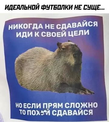 Смешная картинка №755001