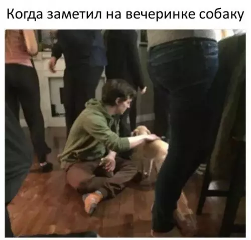 Смешная картинка №220926