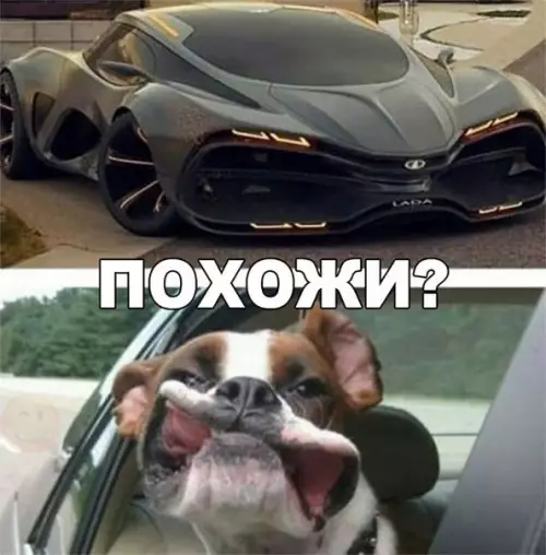 Смешная картинка №244373