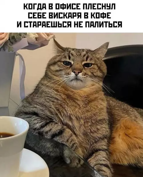 Смешная картинка №669787