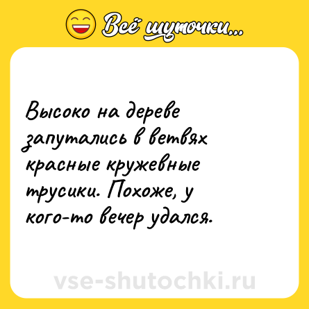 Шутка: Высоко на дереве запутались в ветвях красные кружевные трусики. Похоже, у кого-то вечер удался.