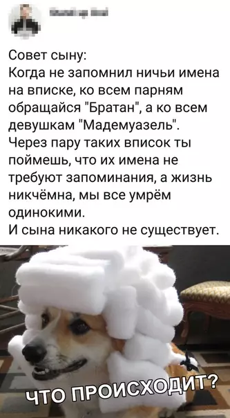 Смешная картинка №336371