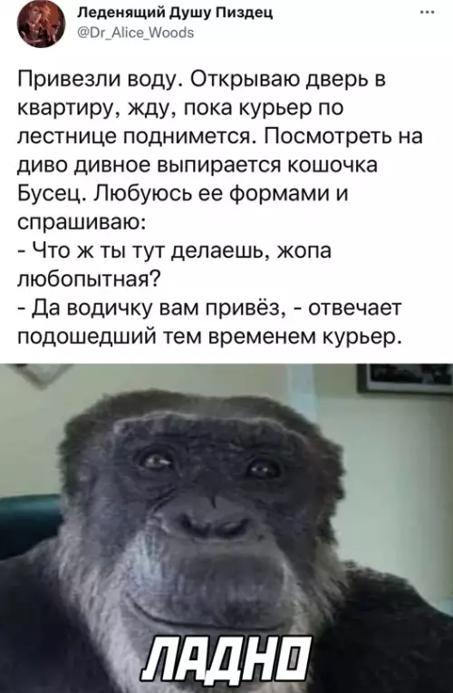 Смешная картинка №634621