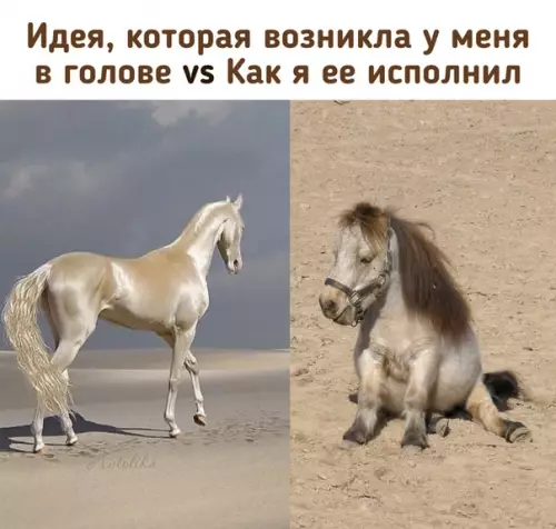 Смешная картинка №571196 И так всегда