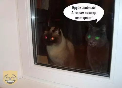 Смешная картинка №383455 #приколы #картинки #мемы ?
