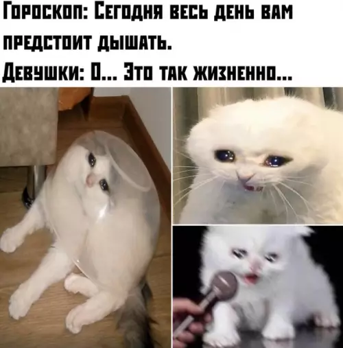 Смешная картинка №389231