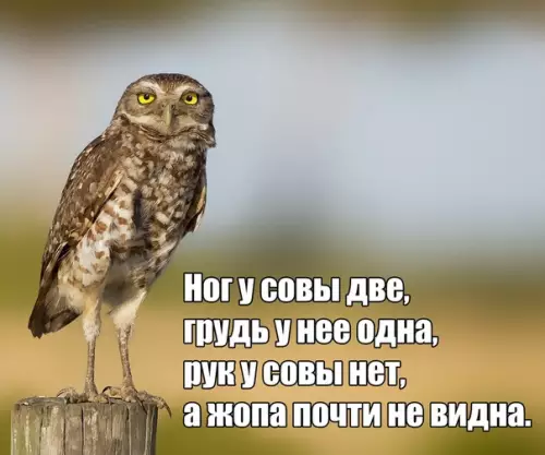 Смешная картинка №297938