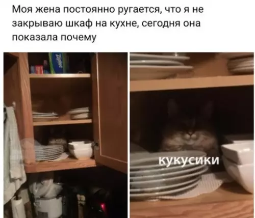 Смешная картинка №228422