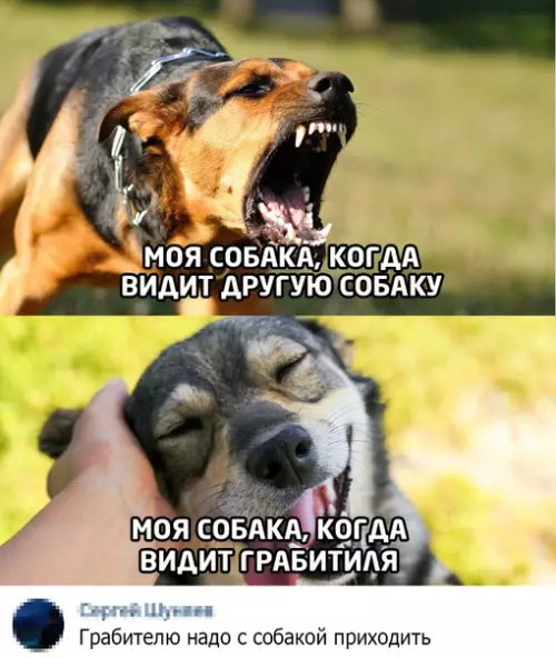 Смешная картинка №534897